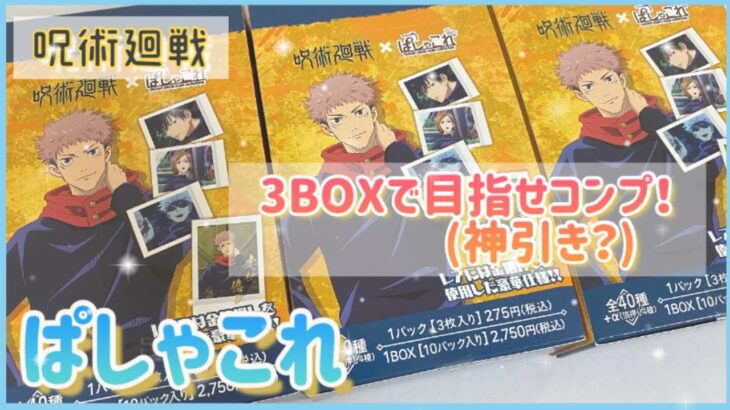 【呪術廻戦】ぱしゃこれ3BOXでコンプは出来るか！？🌟箔押し五条先生が欲しい！🌟