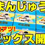 【呪術廻戦】五条マスクなしや両面宿儺が特典に！おまんじゅうにぎにぎマスコットをボックスで開封してみた！