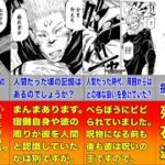 【呪術廻戦考察】芥見下々が語る両面宿儺完全解説！！宿儺は呪詛師ですらない天災！！【比較】【ランキング】