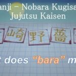 Kanjis of Nobara Kugisaki in Anime Jujutsu Kaisen : Meaning and Writing of Kanji 釘崎野薔薇 呪術廻戦