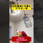 【Merry Christmas!】呪術廻戦五条悟に憧れたアラサー男 #shorts