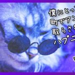 【呪術廻戦】五条悟は猫になったら、どんな日常を過ごすのかモニタリングしてみた【メインクーン】