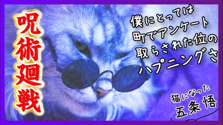 【呪術廻戦】五条悟は猫になったら、どんな日常を過ごすのかモニタリングしてみた【メインクーン】