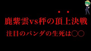 【呪術廻戦 185話】とんでもない激アツ展開になってしまいました…※ネタバレ注意