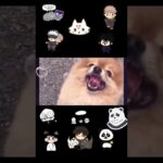 #玉犬#Fushiguro#jujutsukaisen#可愛い犬#dog#犬#cutedog#呪術廻戦#CursedTechniques#mad#逆夢#imagevideo#cuteanimal#呪術