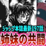 【呪術廻戦 最新197話】ついに領域展開!!●●は禪院姉妹の真の力により死亡か!?あの２人は初見無理ゲーの術式にハマってしまうかも..【ジャンプ本誌 ネタバレ 大道鋼 三代六十四 】