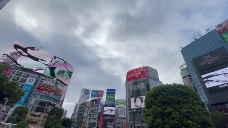 【呪術廻戦】昼の渋谷で渋谷事変があるらしいから行ってみた。#領域展開#アニメ
