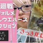 第42回 【マイベスト】呪術廻戦ディフォルメシールウエハースコレクション【フレンド】