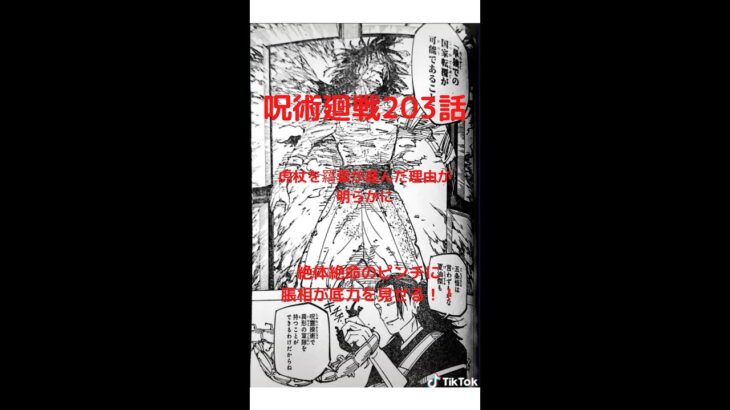 呪術廻戦 203話 日本語 ネタバレ | Jujutsu Kaisen Chapter 203 🔥🔥🔥