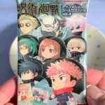 Jujutsu Kaisen Distorted Sticker wafers | Japanese Food | 呪術廻戦 ディフォルメシール ウエハース にふぉるめーしょん