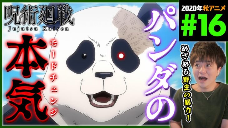 呪術廻戦 1期 第16話 同時視聴 アニメリアクション 初見反応 Jujutsu Kaisen Season 1 Episode 16 Anime Reaction