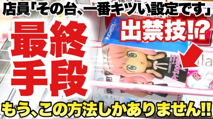 【クレーンゲーム】最新プライズフィギュア！店内で一番キツい設定！？もはや最終手段は出禁技！？スパイファミリー アーニャ 呪術廻戦 五条悟 推しの子 星野アイ ベネクス川越店 万代書店川越店