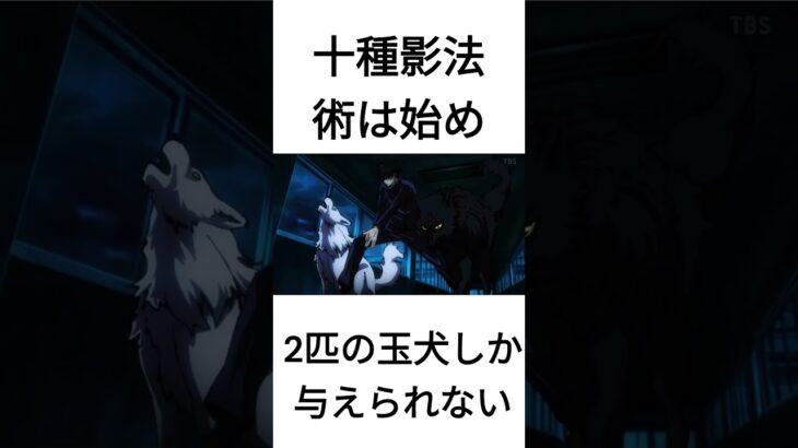 十種影法術に関する雑学　＃呪術廻戦雑学＃呪術廻戦＃#呪術廻戦漫画 #呪術廻戦アニメ #呪術廻戦反応集 ＃伏黒恵＃伏黒＃恵＃十種影法術